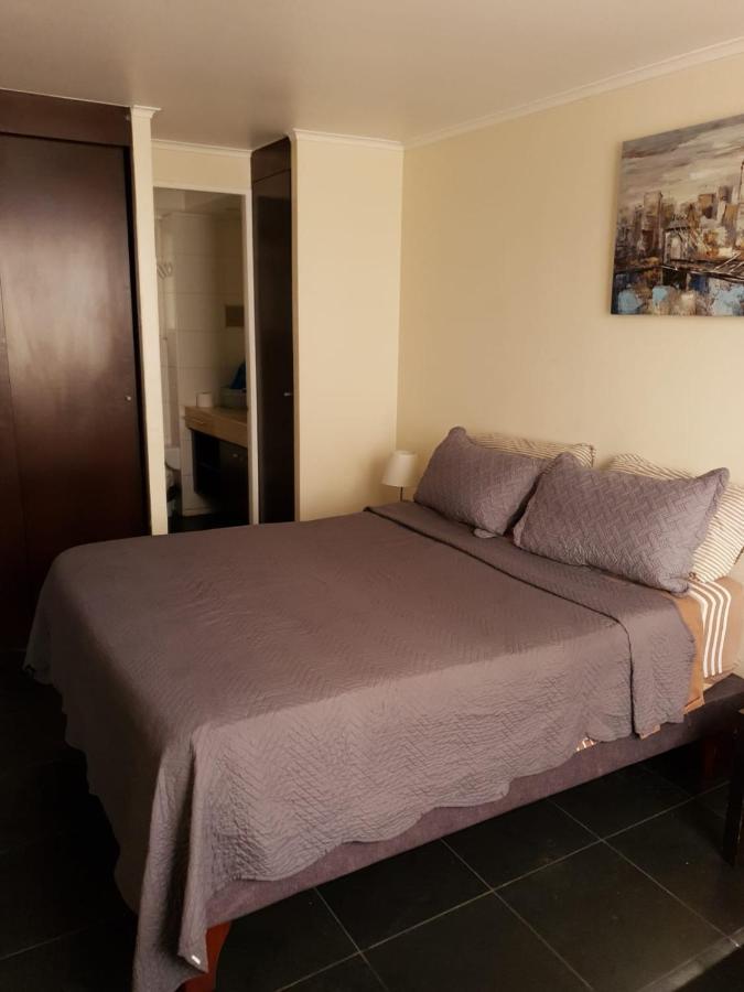 Departamento Con Terraza R&M Apartment Santiago Ngoại thất bức ảnh