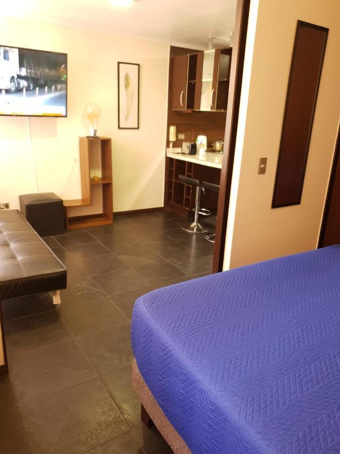 Departamento Con Terraza R&M Apartment Santiago Ngoại thất bức ảnh