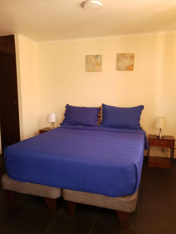 Departamento Con Terraza R&M Apartment Santiago Ngoại thất bức ảnh