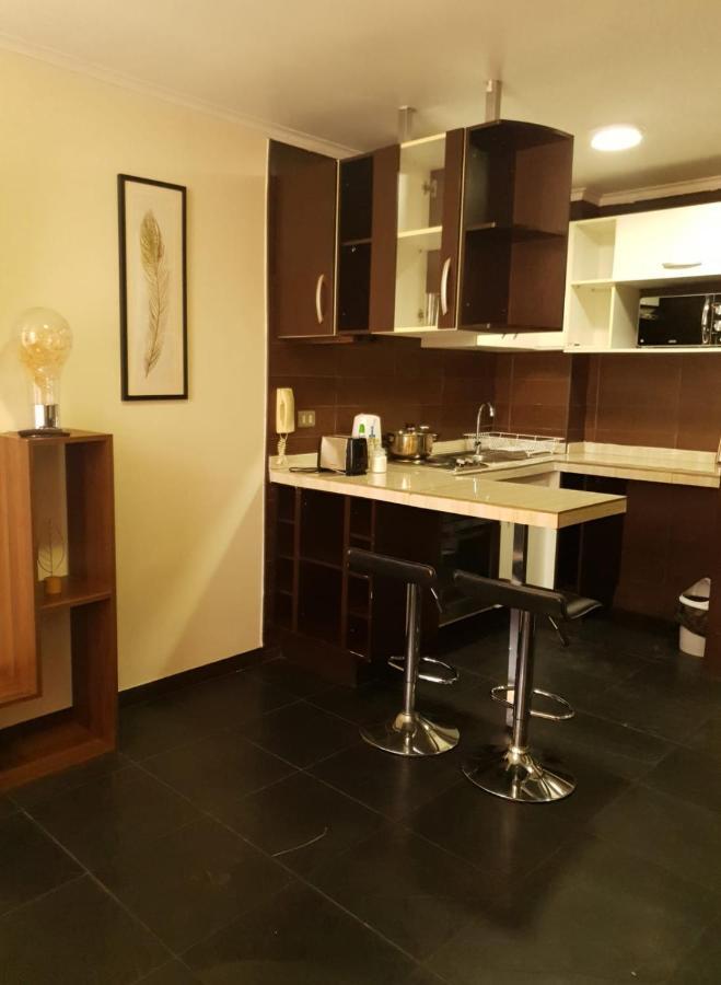 Departamento Con Terraza R&M Apartment Santiago Ngoại thất bức ảnh